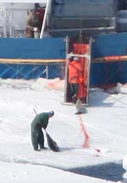 Seals are dragged onto a sealing vessel