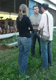 Cage-free egg farm in Brazil