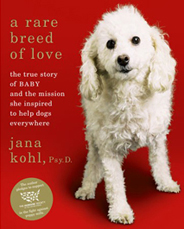 A Rare Breed of Love by Jana Kohl