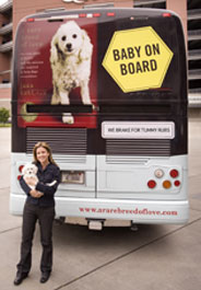 Baby's Rare Breed of Love Road Trip tour bus