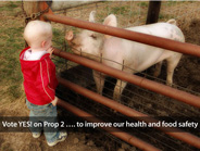 Vote YES! on Prop 2 to improve our health and food safety