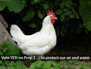 Vote YES! on Prop 2 to protect our air and water