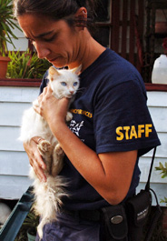 The HSUS rescues a cat in Texas after Hurricane Ike
