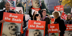 Nigel Barker of America's Next Top Model at rally against Canadian seal hunt