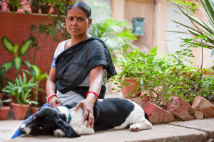 Is India Ground Zero for Animal Protection?