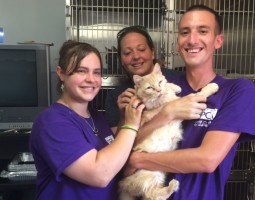 Staff at Virginia’s Norfolk SPCA with one of the new arrivals from the Chatham County, N.C. rescue. The SPCA took in several dogs and cats from the case. 