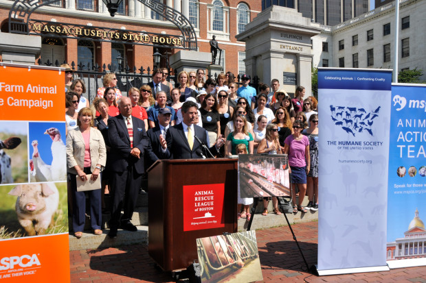 Just moments ago, I announced the initiative petition at the state house in Boston, with the CEOs of the Massachusetts SPCA, ASPCA, Animal Rescue League of Boston, and the Franklin Park Zoo.
