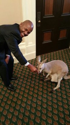 Strange that Assemblyman Gipson takes delight in petting this baby kangaroo when his bill would provide a financial incentive for killing thousands of them. Photo by Pete Montgomery.