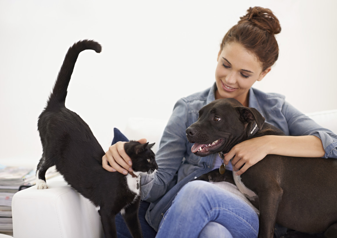 New HSUS Initiative Poised to Keep More Animals in Homes and Out of Shelters