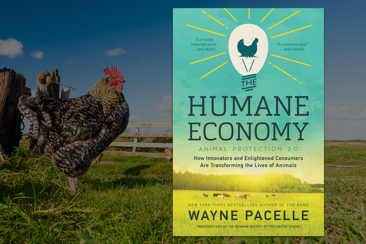 Here Comes the Humane Economy