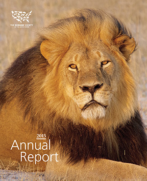 Read the 2015 Annual Report