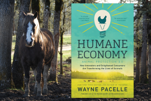The Surging Humane Economy