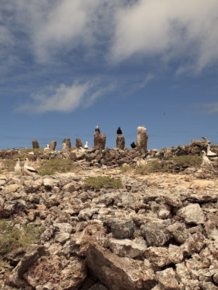 The island of Mokumanamana has the highest concentration of cultural sites in Hawaii with 34 document heiau, or sacred sites, most of similar design and whose purpose is yet to be determined.