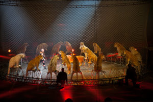 Breaking news: Los Angeles to ban use of all wild animals in circuses
