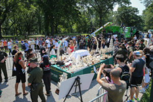 New York state crushes ivory stockpiles in Central Park as an act of theater to rally the world against the ivory trade