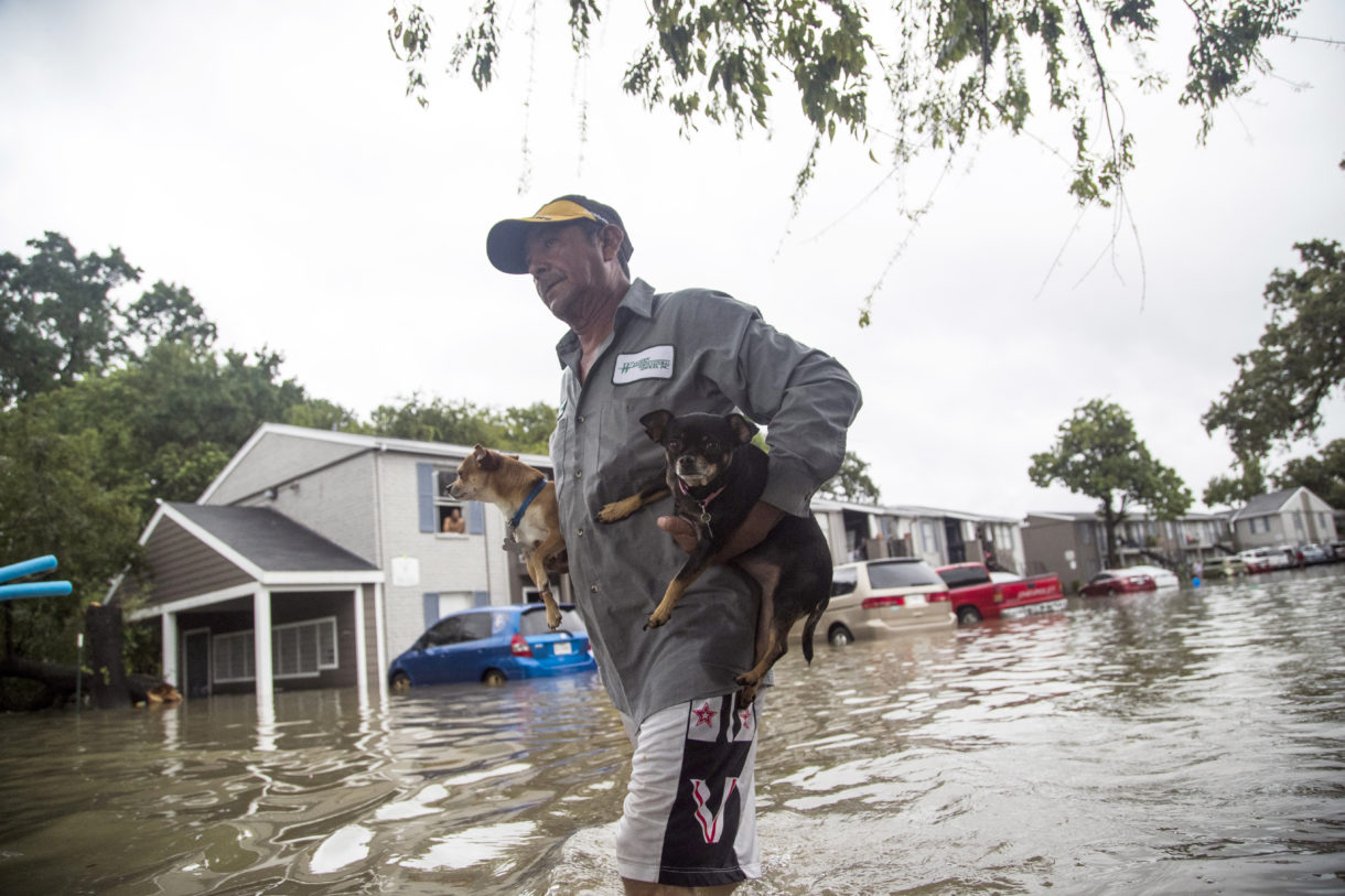 The crisis in Texas, and the urgent call to help animals and people
