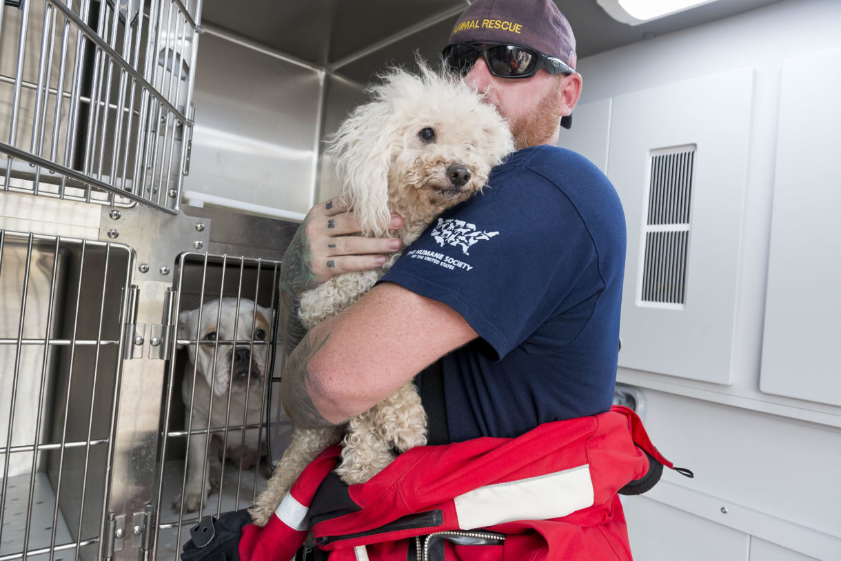 HSUS disaster response expanding with rescues and transports