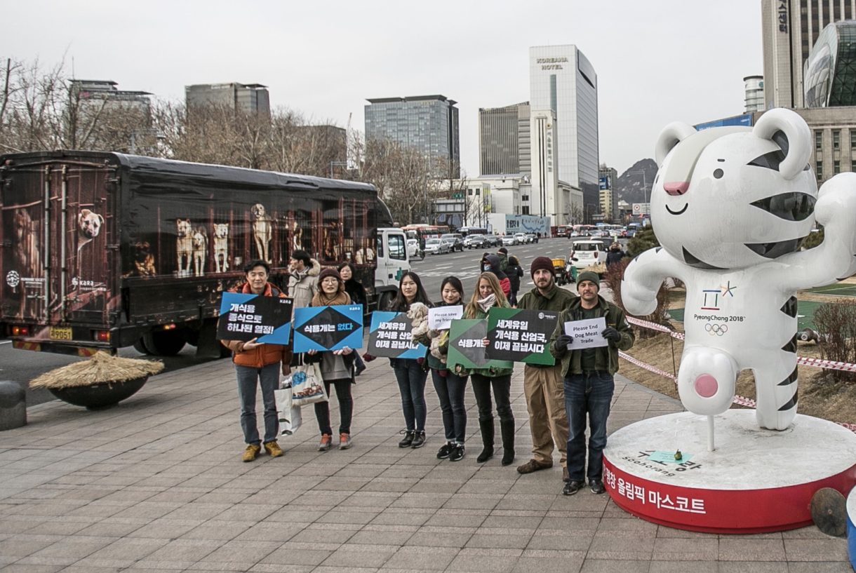 As world watches Pyeongchang, HSI focuses attention on Korea’s grisly dog meat trade