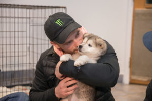 For Beemo and 88 other dogs from a Korean dog meat farm, a better life begins in Montreal