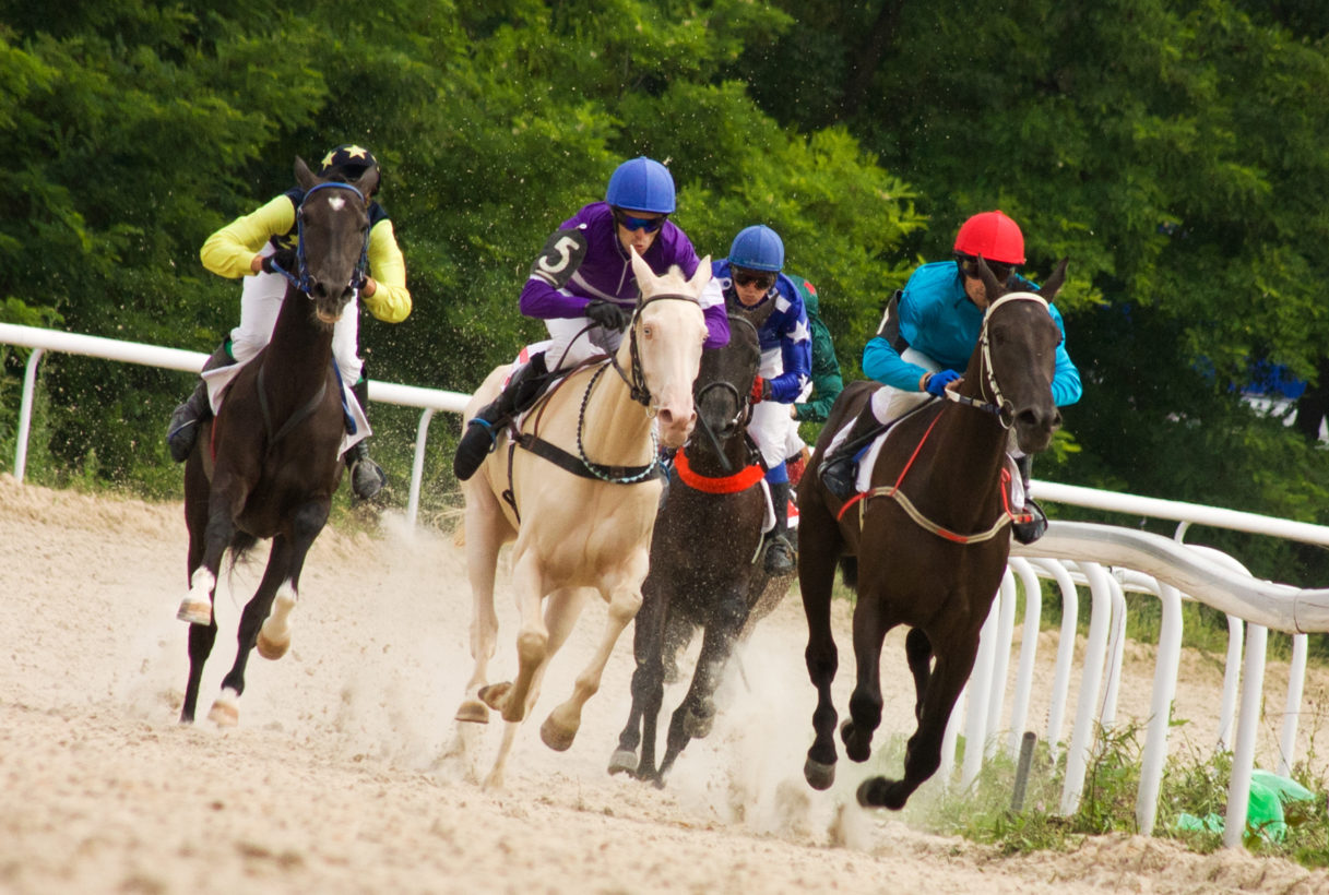 Racehorses have a right to a good retirement and protections against slaughter and drugging