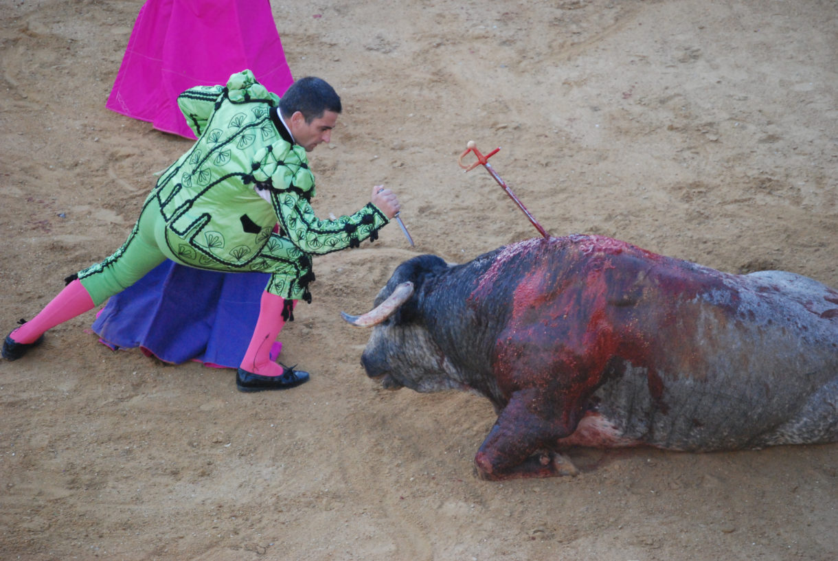 Mexico City moves to ban bullfighting
