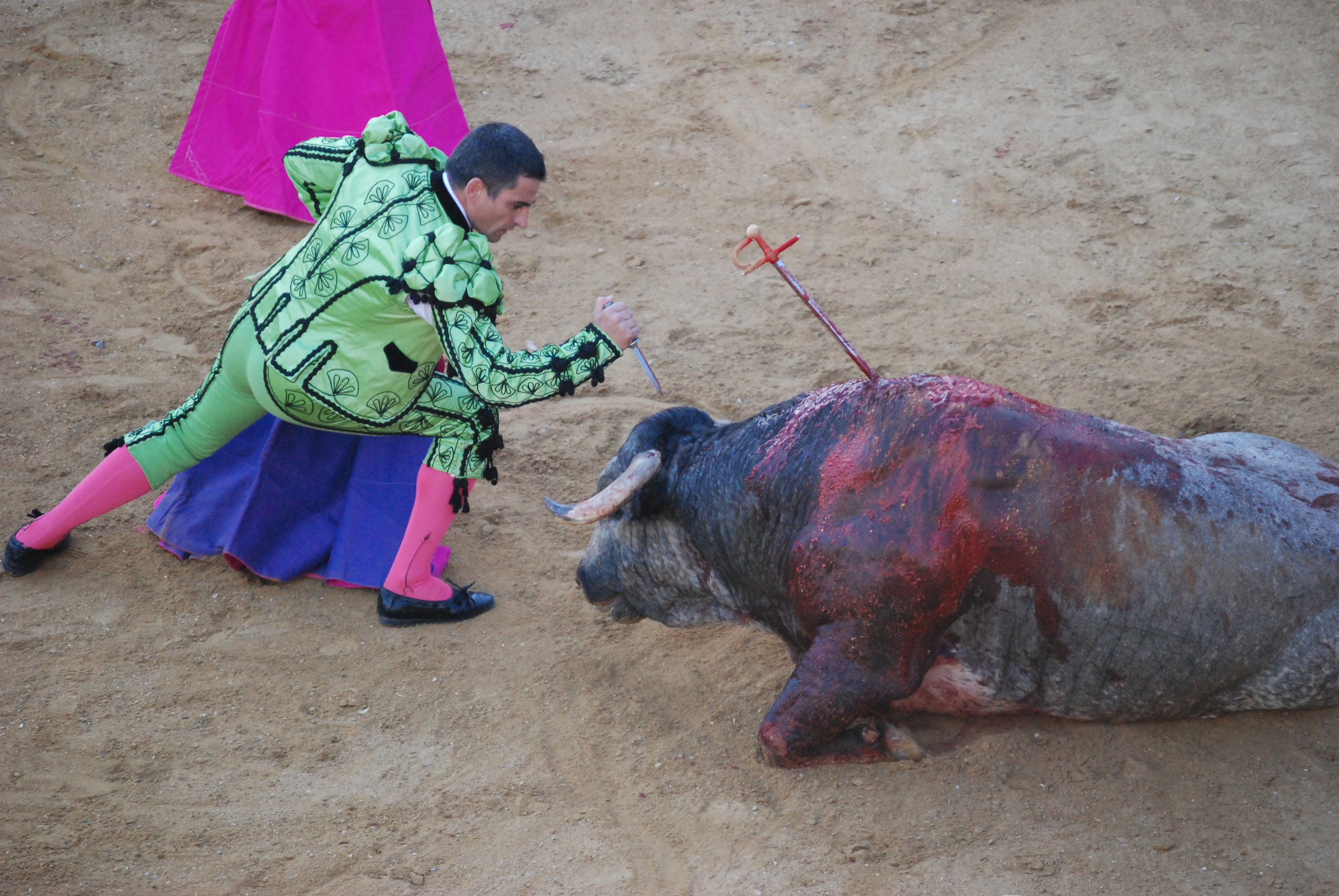 Mexico City moves to ban bullfighting · A Humane World