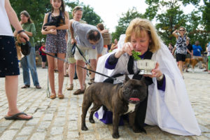 Celebrating the human-animal bond at the Blessing of the Animals