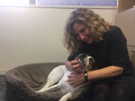Pets in the workplace: Why we let the HSUS go to the dogs