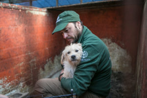 HSI rescuers battle natural and man-made disasters to help animals around the world