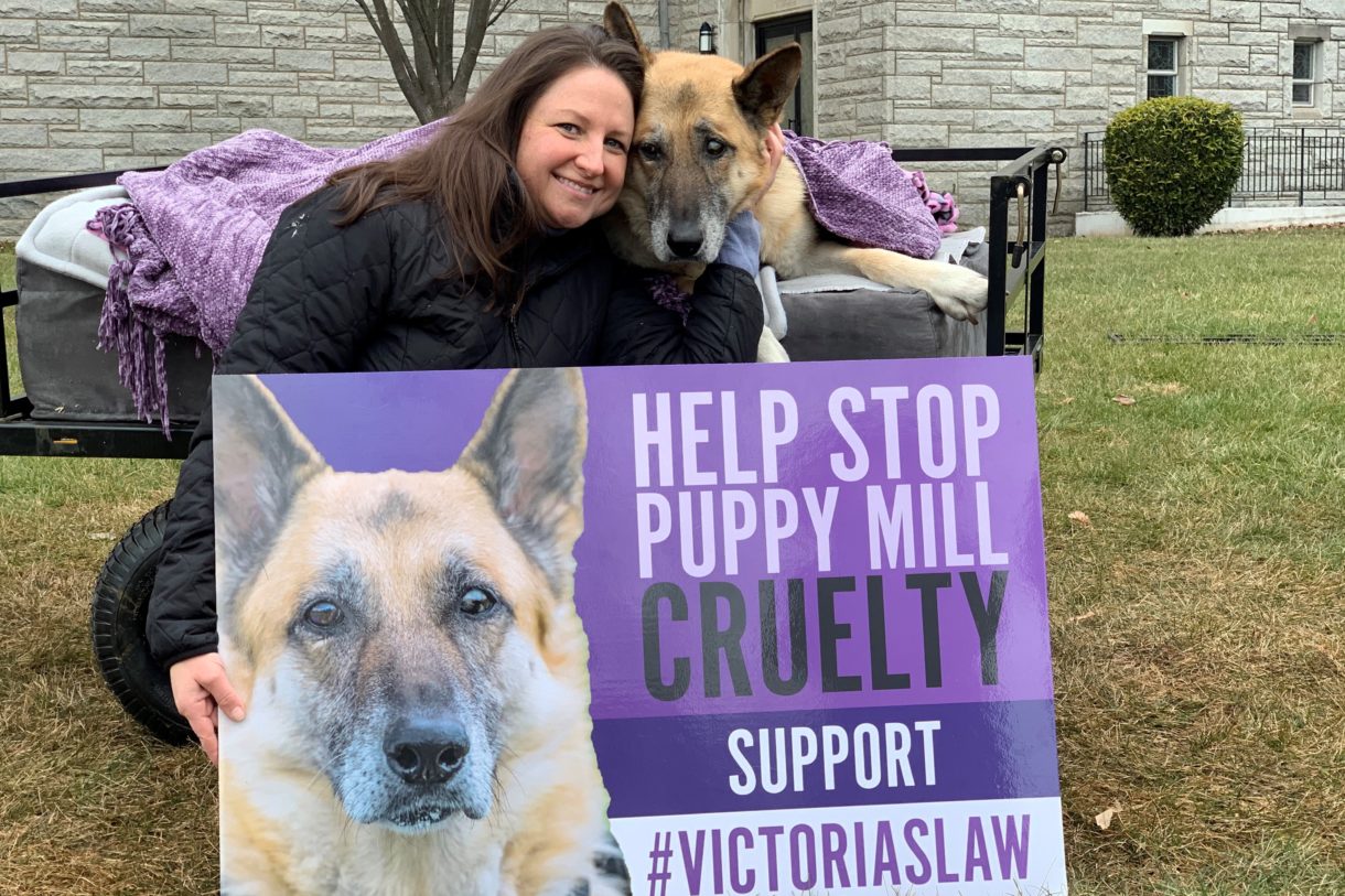 Advocates step up the fight against puppy mills in localities, states across the nation