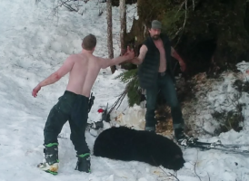 Breaking: Chilling video shows poachers slaughtering hibernating black bear mother, cubs in Alaska