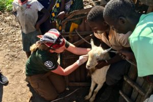 HSI responders helping animals in Mozambique, Malawi in wake of Cyclone Idai