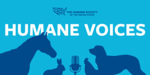 Get some “Humane Voices” in your head