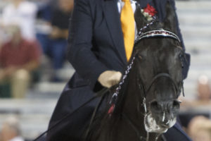 At Tennessee Walking Horse Celebration, repeat soring offenders win championship, ribbons