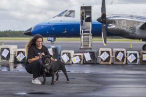 As Dorian approaches, HSUS moves animals from threatened shelters to safety