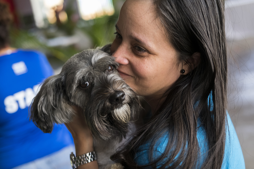 Puerto Rico sets the stage for long-term veterinary support, as HSUS programs to help underserved communities thrive