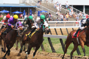 As racehorse death toll continues to climb, Congress moves to salvage the ‘sport of kings’