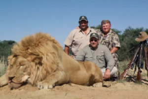 In new role at the USFWS, trophy hunters’ lawyer will guide U.S. global policy on wildlife