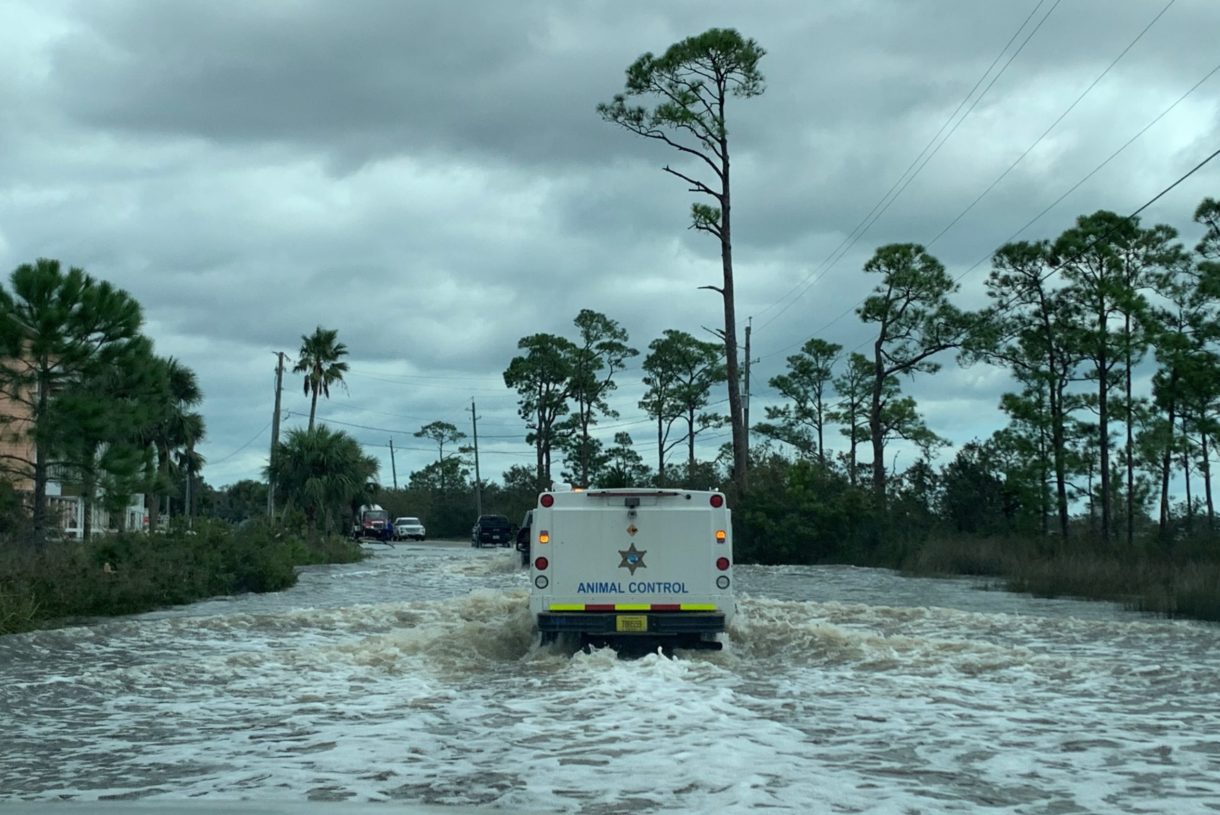 HSUS Animal Rescue Team deploys in hurricane-ravaged Florida