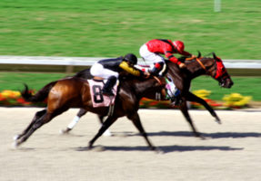 Breaking news: Horse racing reform gallops to victory in U.S. House