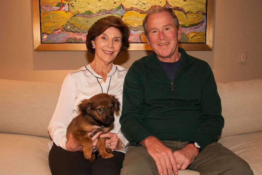 Presidents and their pets: Tales of nonpartisan, unconditional love