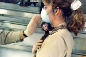 What I saw as a worker at a breeding facility for primates in research