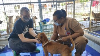 Police intercept illegal dog meat truck in Indonesia for the first time ...