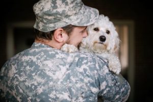 New law increases availability of service dogs for veterans with PTSD