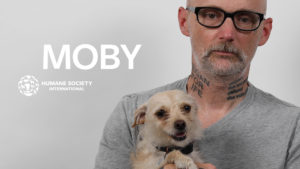 Video: Moby adds his voice to climate conference—and his message is clear
