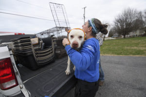 Our rescuers are on the ground to save animals after deadly Kentucky tornadoes