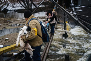 Animal welfare crisis grows more critical in Ukraine as war rages on