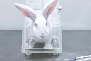 Good news! Louisiana becomes 9th state to ban the sale of cosmetics tested on animals