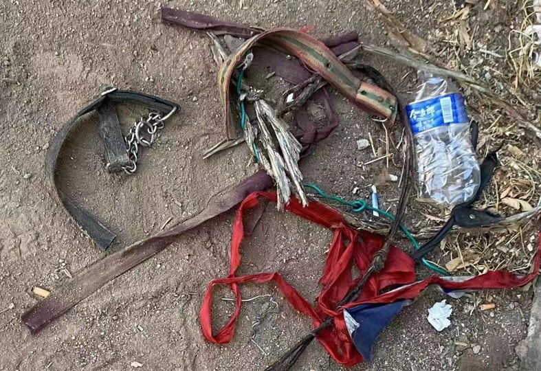 Collars found in slaughterhouse tell heartbreaking story about the dog meat trade