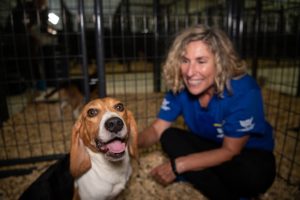 At our care and rehabilitation facility, recovering dogs have their day